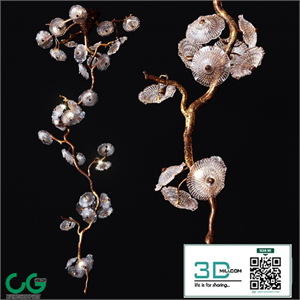 Serip Nenufar CT3384_35